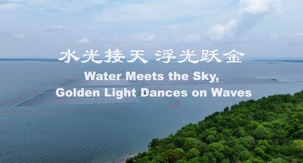 Z6尊龙官方网站(中国)有限公司官网