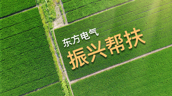 Z6尊龙官方网站(中国)有限公司官网