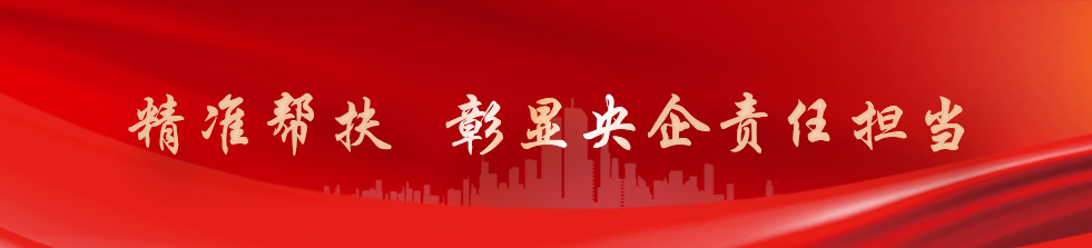Z6尊龙官方网站(中国)有限公司官网